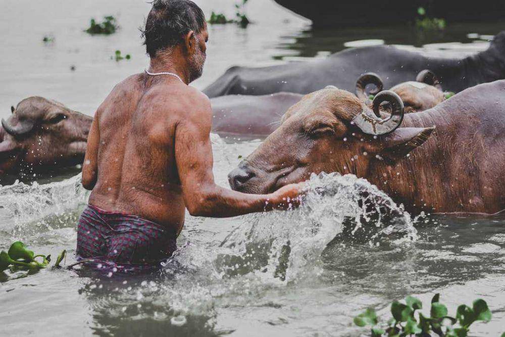 unsplash.com/Jyotirmoy gupta