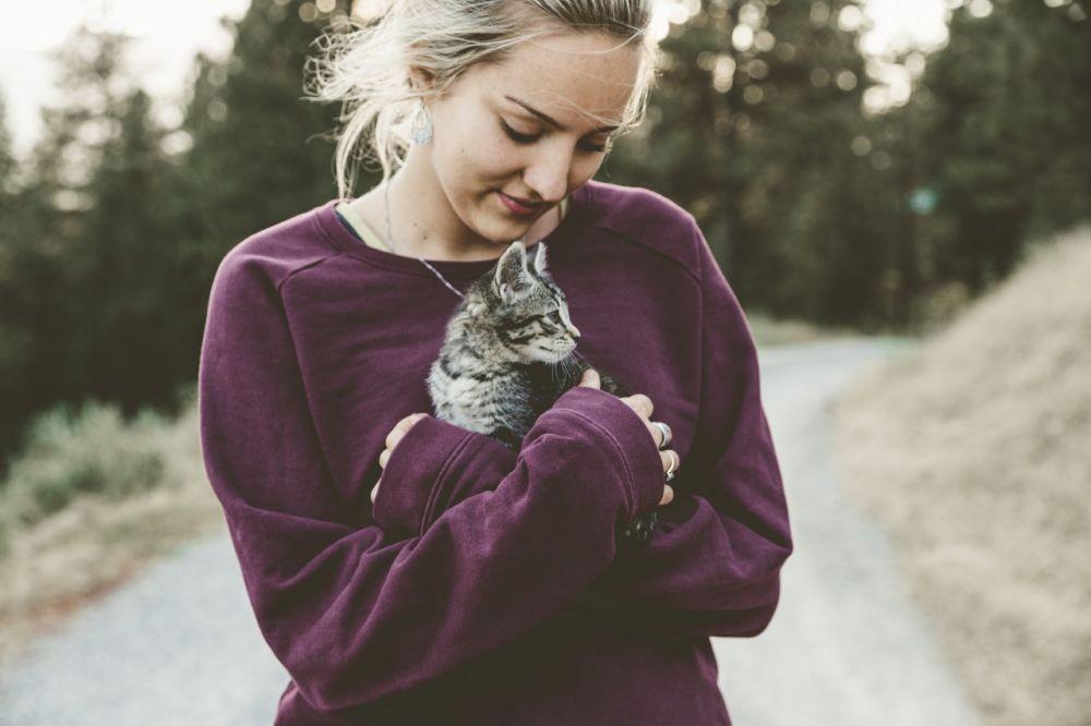 [QUIZ] Pilih Gambar Kucing yang Kamu Suka dan Kami Akan Beritahu Sifat Aslimu