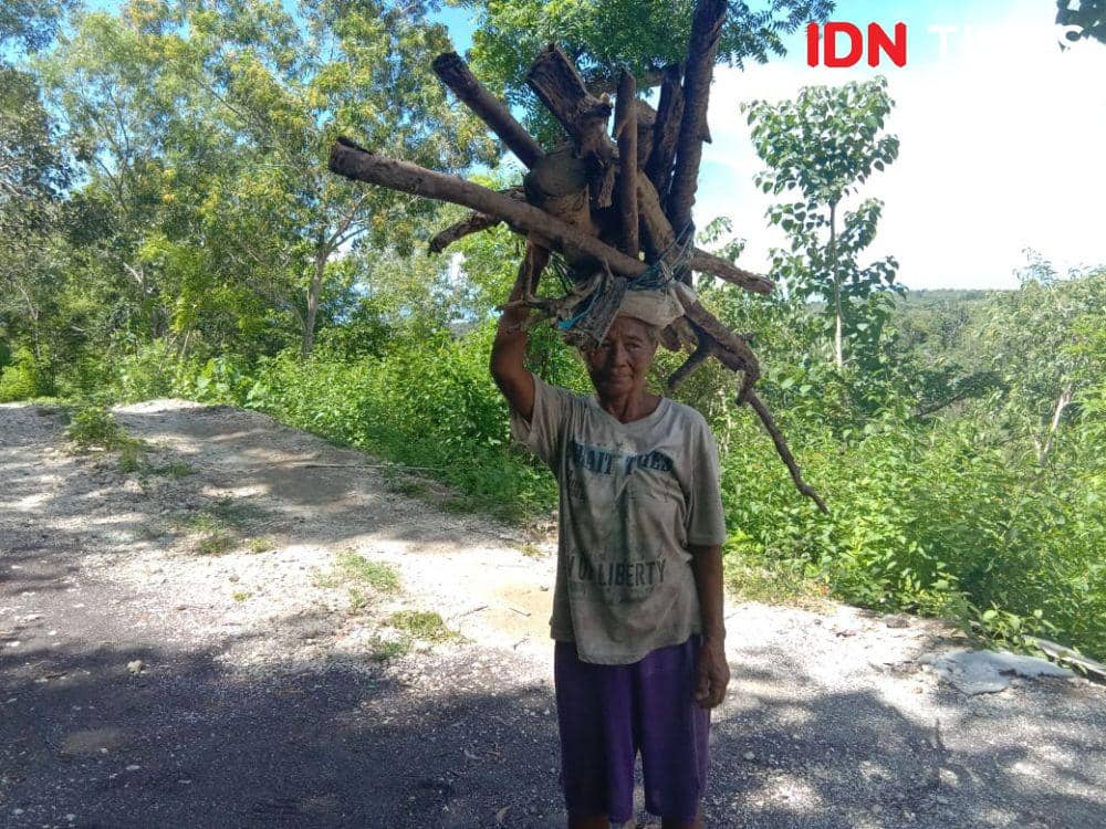Nenek Usia 90 Tahun di Tabanan Hilang Setelah Pamit Mencari Kayu Bakar