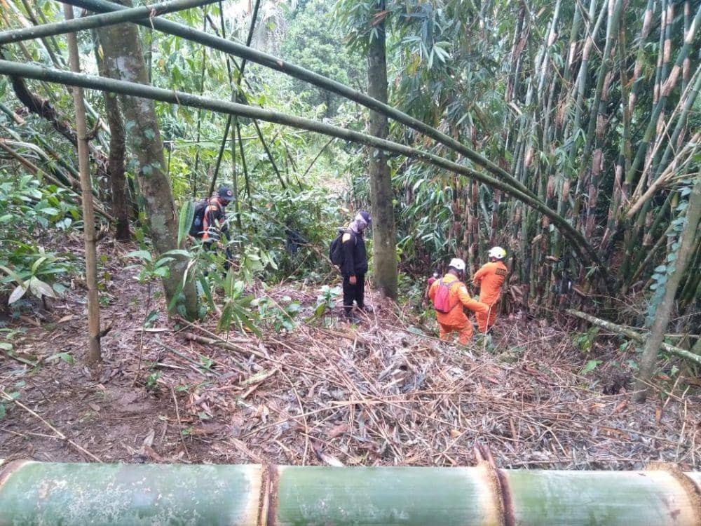 Tim Basarnas Bali melakukan pencarian nenek yang hilang saat mencari kayu bakar (Dok.IDN Times/Basarnas Bali)