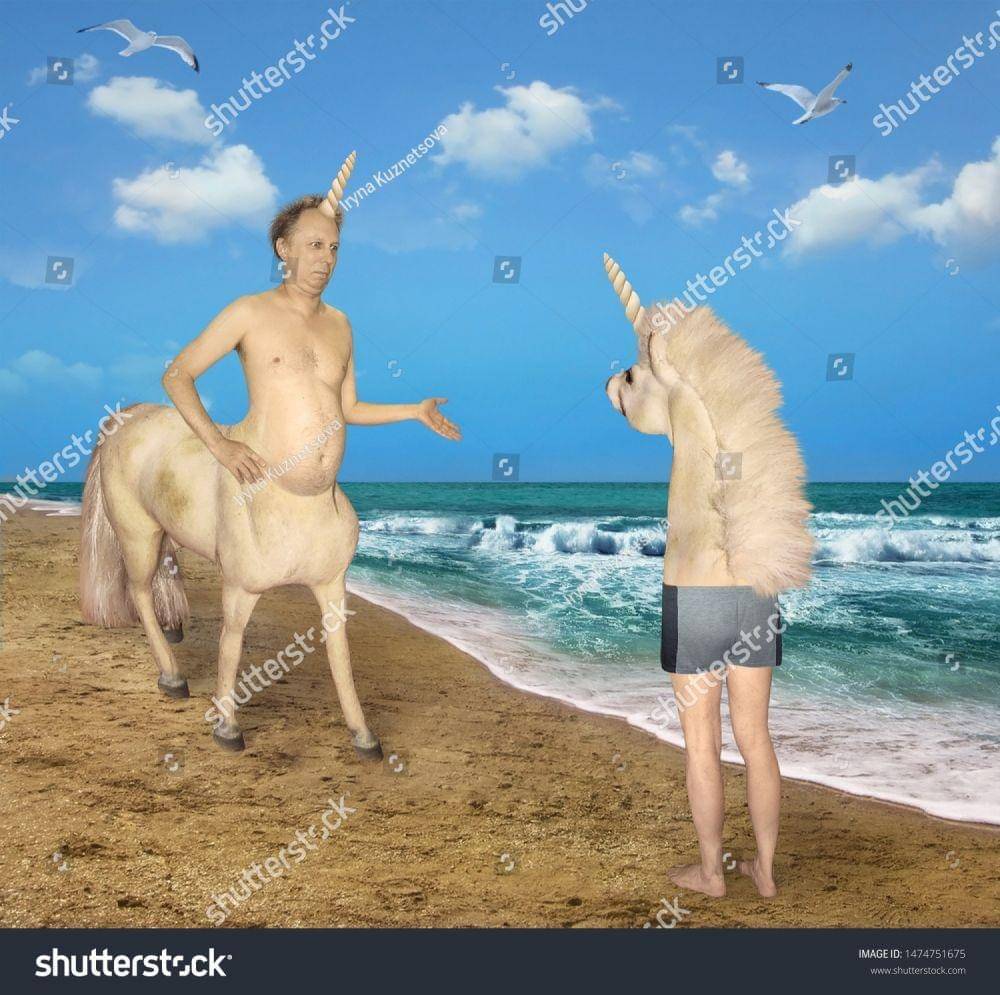 shutterstock Iryna Kuznetsova