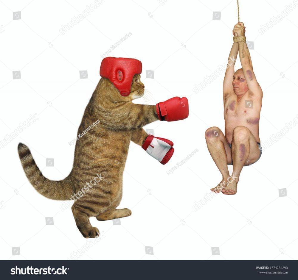 shutterstock Iryna Kuznetsova