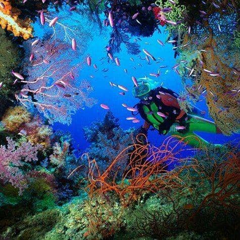 Instagram.com/tonga_holiday