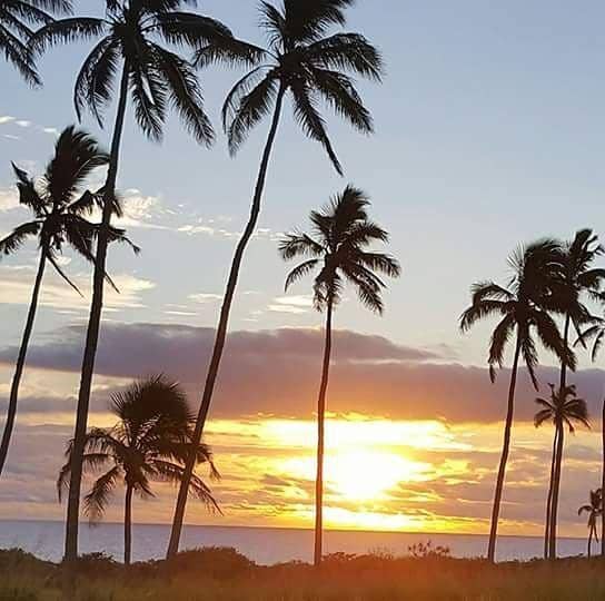 Instagram.com/tonga_holiday