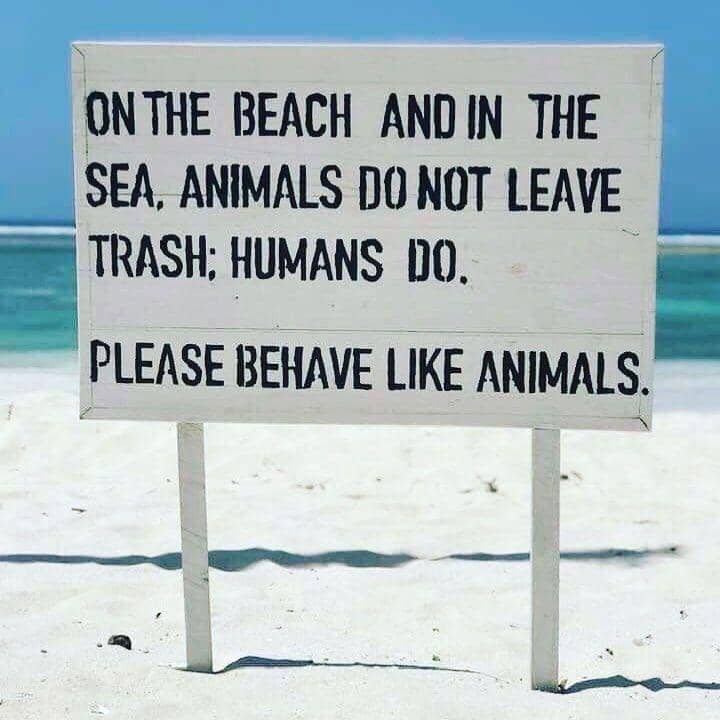 Instagram.com/tonga_travel_troupe