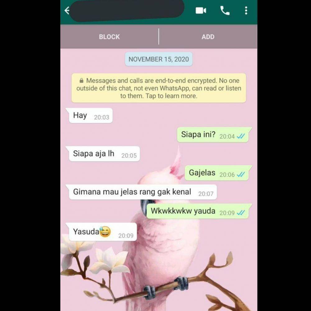 twitter.com/txtdarigajelas