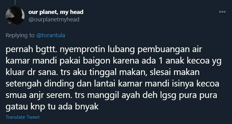Twitter.com/ourplanetmyhead