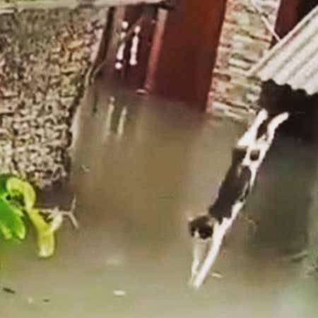 Instagram.com/gallery_of_cats
