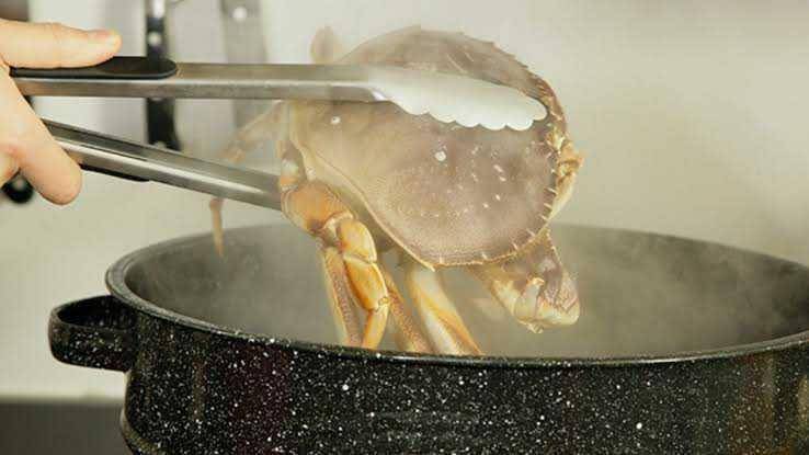 anellofamilyseafood.com