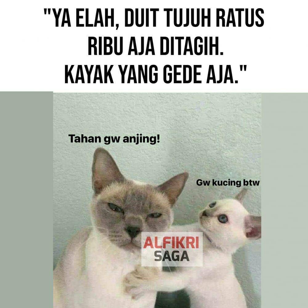 Facebook Alfikri Saga