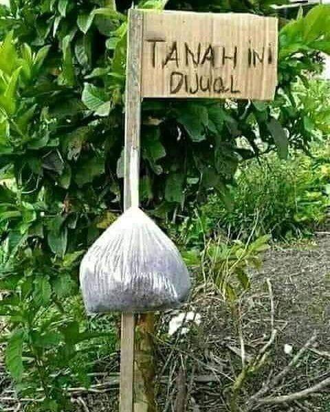 Instagram.com/sejay_mantap