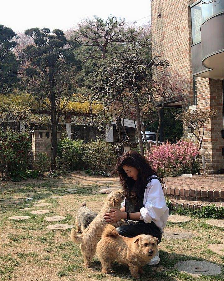 instagram.com/gangjjang337
