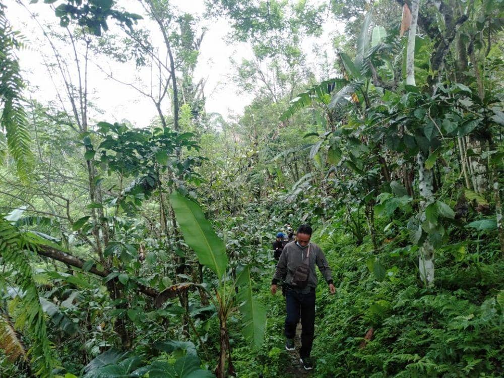 Proses evakuasi kerangka manusia yang ditemukan di tengah hutan lindung Desa Sanda, Kecamatan Pupuan, Kabupaten Tabanan, Provinsi Bali, Sabtu (02/01/2021). (Dok.IDN Times/Polres Tabanan)