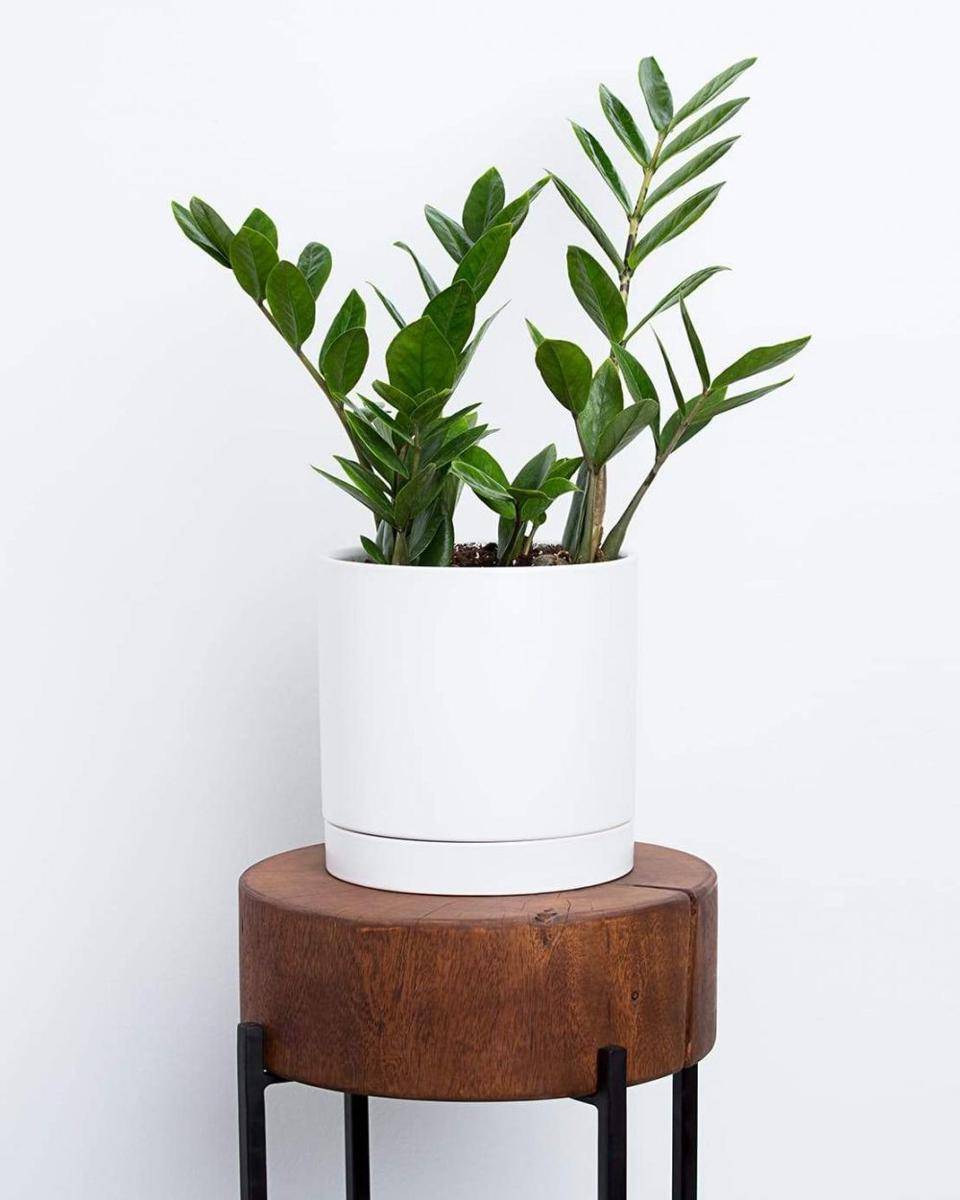 shopgreendigs.com