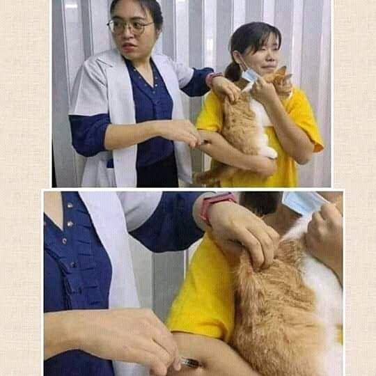 Instagram.com/pembawa_ketololan