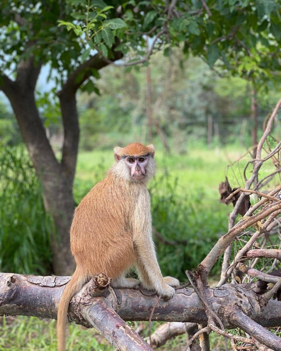 instagram.com/apff.bf