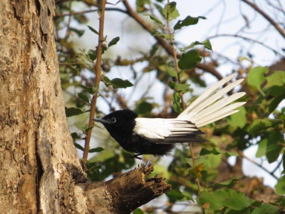 instagram.com/ash_wark_photography