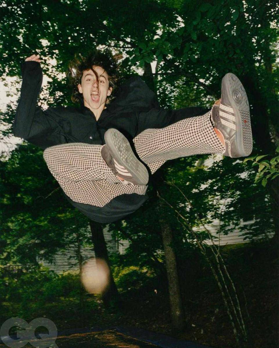 instagram.com/tchalamet