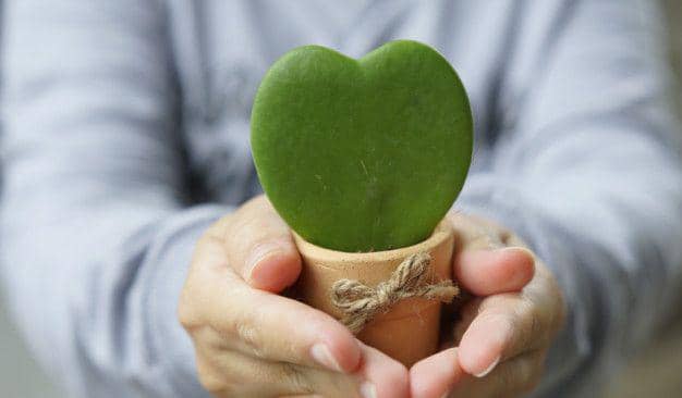 freepik.com/fgnopporn