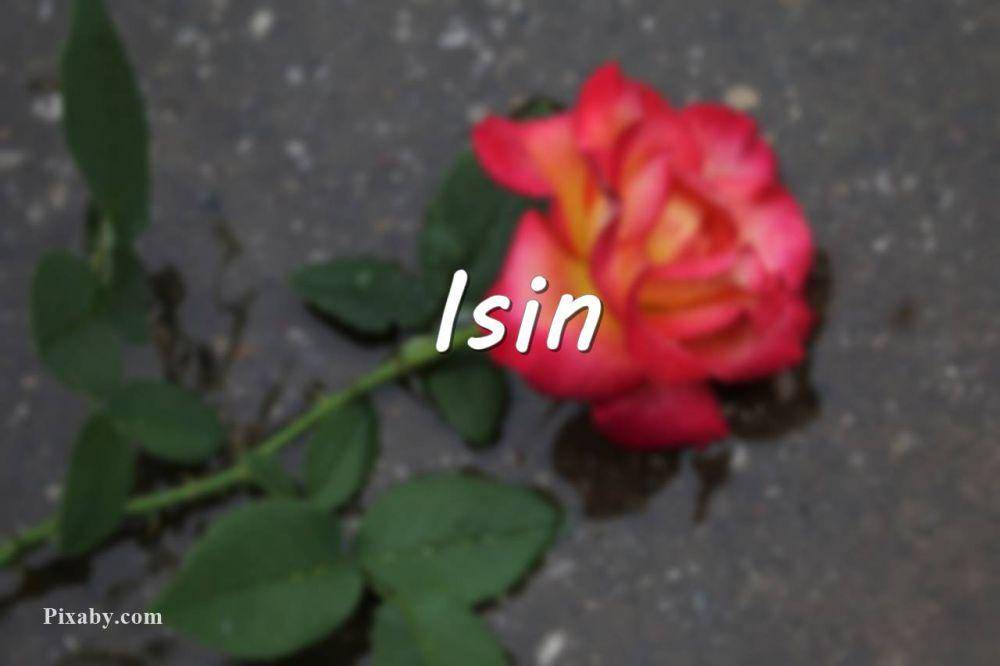 Dok. Pribadi/Anis Rosella Pitaloka