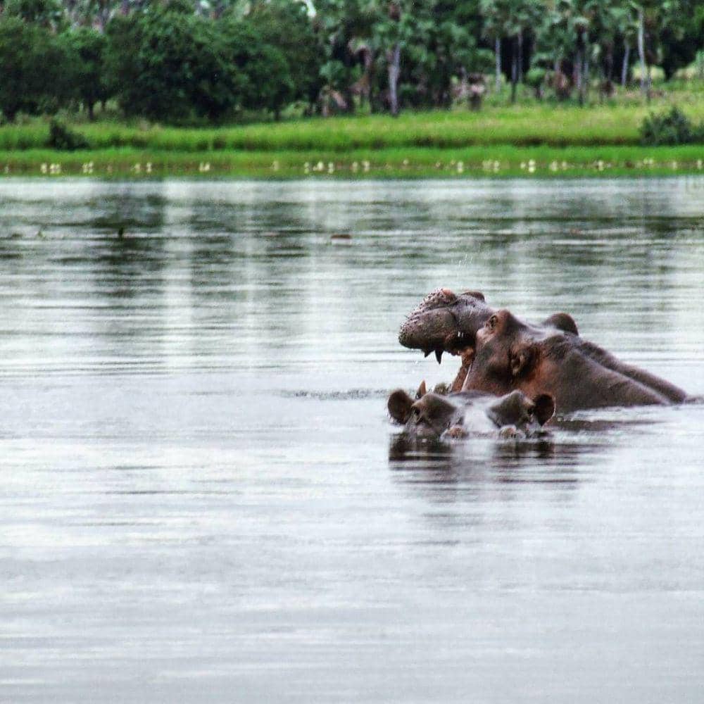 instagram.com/od_y_trevid