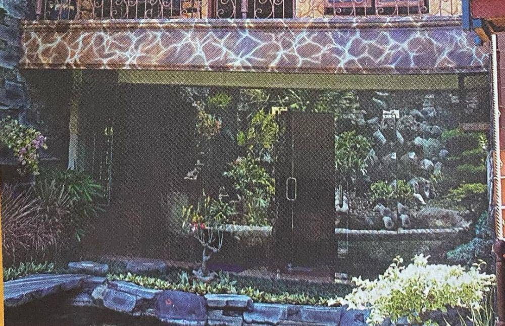 instagram.com/inul.d