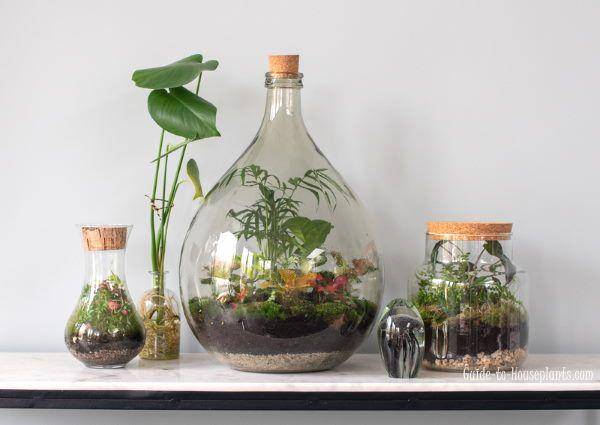 guide-to-houseplants.com