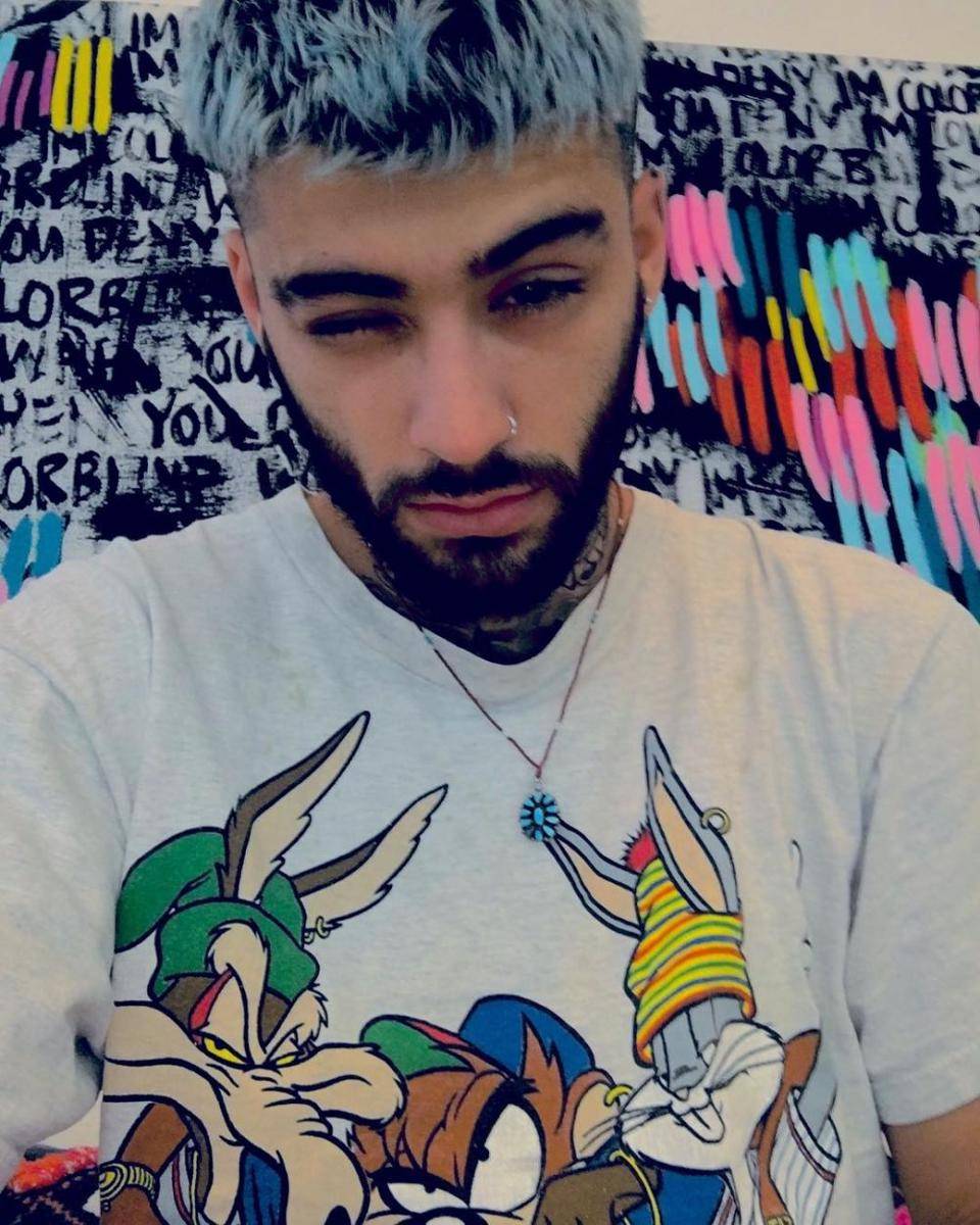 instagram.com/zayn