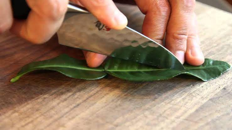 Ilustrasi daun jeruk (youtube/SAVEUR Magazine)