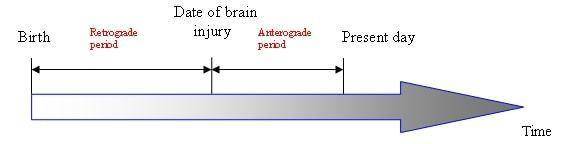 human-memory.net