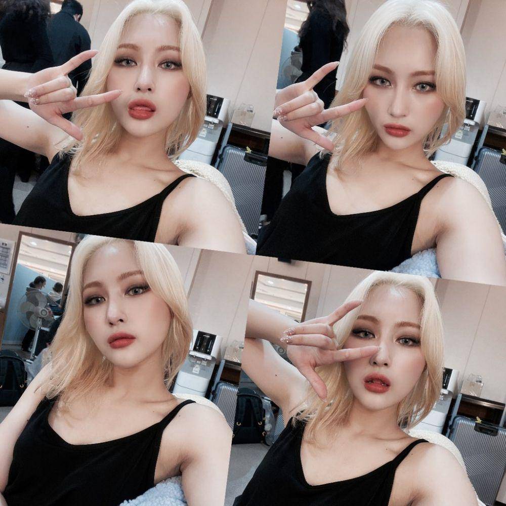 twitter.com/hf_dreamcatcher