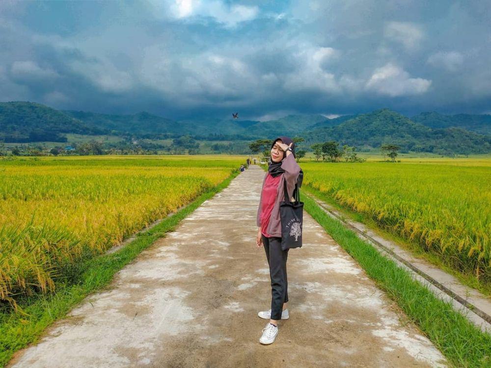 Ikut Kembangkan Wisata Borobudur, Perhutani Dapat Tiga PR