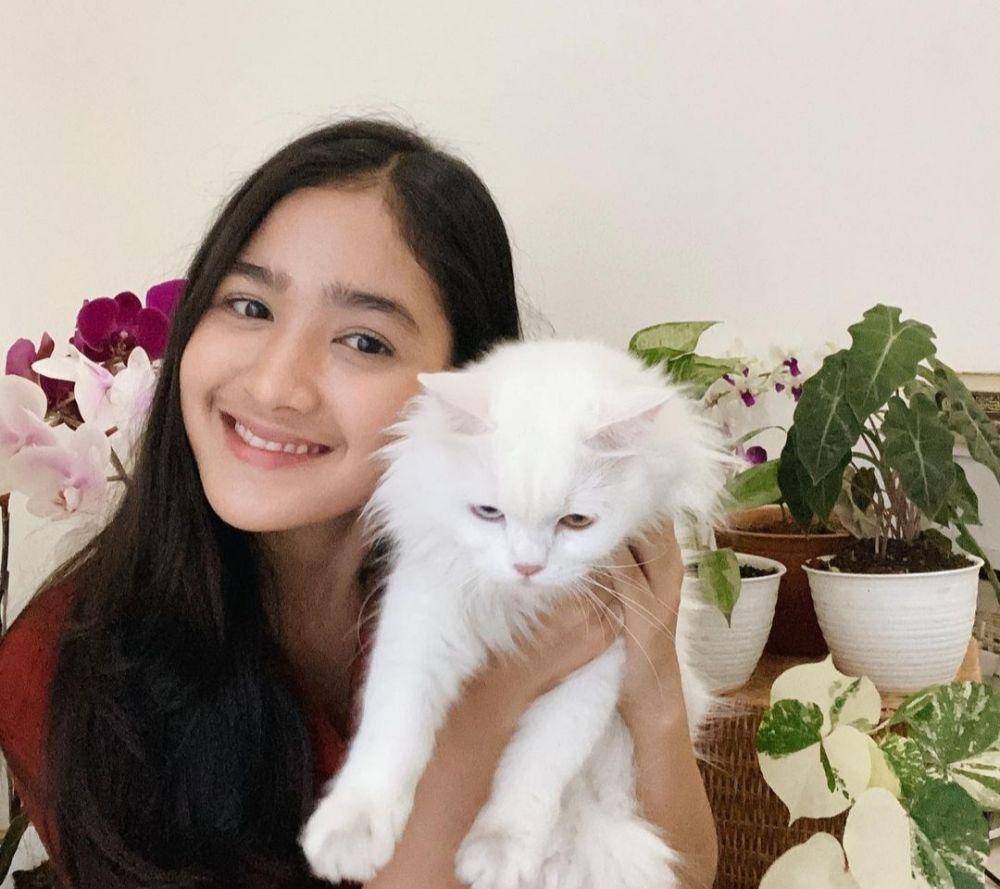 Instagram.com/cutsyifaa