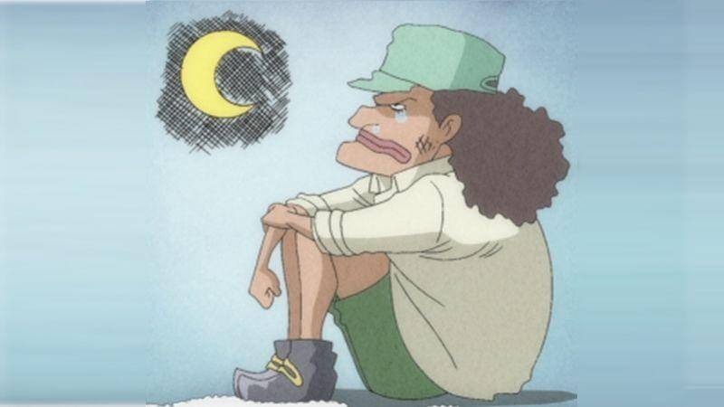 Toei Animation/One Piece