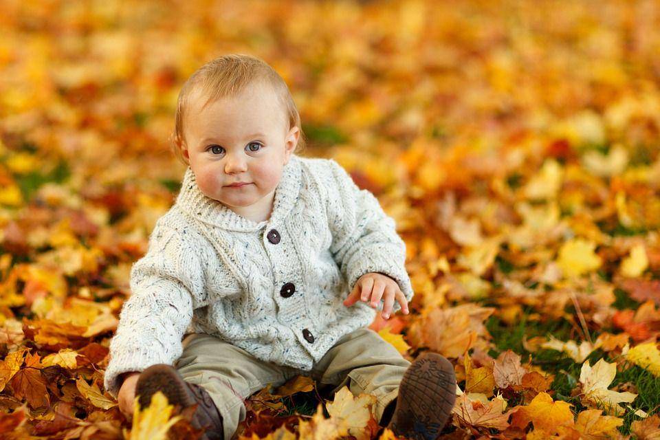 Pixabay.com/PublicDomainPictures