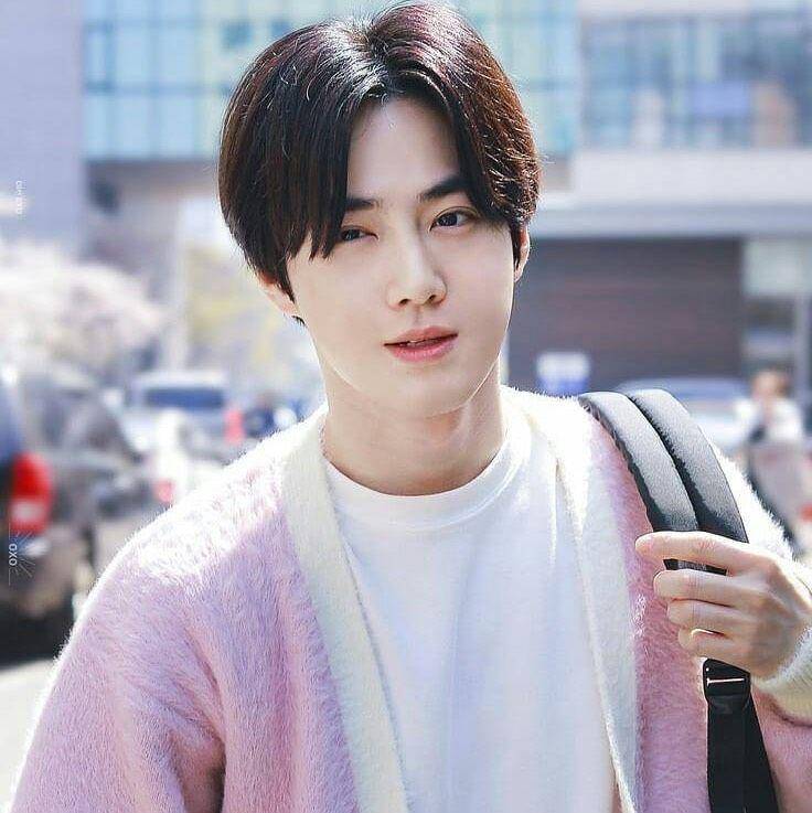 Instagram.com/exo.suhoshi
