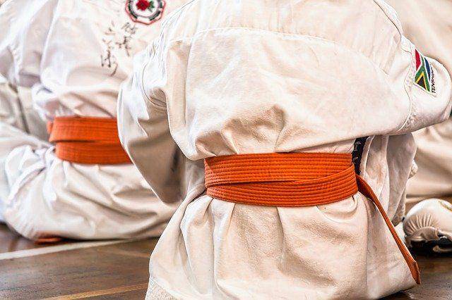 Ilustrasi Karate (Pixabay)