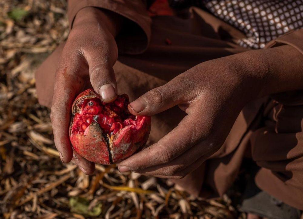 5 Hal Tentang Superfood yang Tidak Seindah Namanya