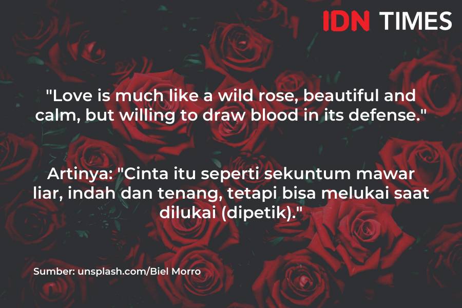IDN Times/M. Tarmizi Murdianto