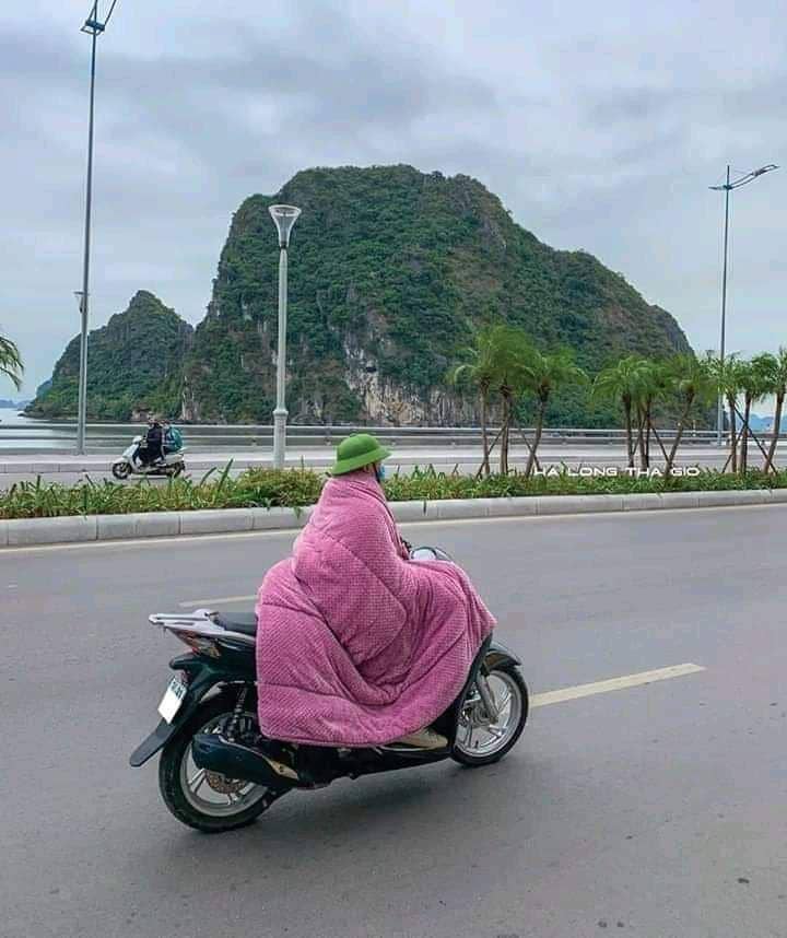 facebook.com/Ocat Tw