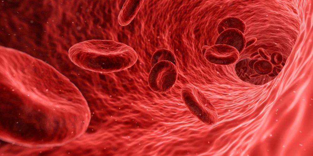 Sel darah merah berperan untuk mengangkut oksigen ke seluruh tubuh. pixabay.com/Qimono