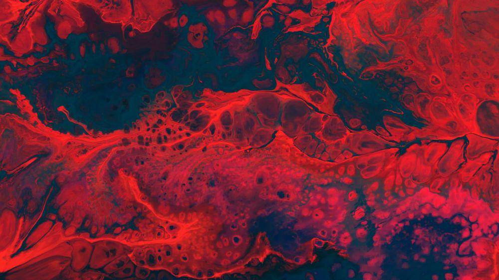 Darah terdiri dari empat komponen. unsplash.com/Cassi Josh