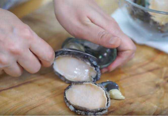 evergreenseafood.com.sg