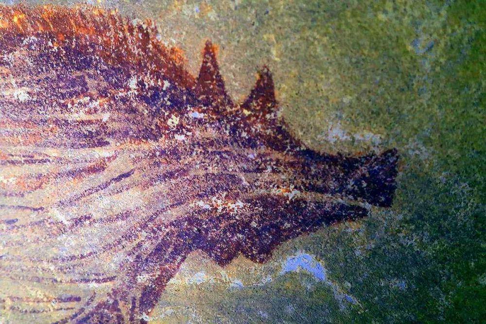 Lukisan bergambar babi hutan dengan sepasang benjolan (kutil) di wajahnya. (twitter.com/Newscientist)