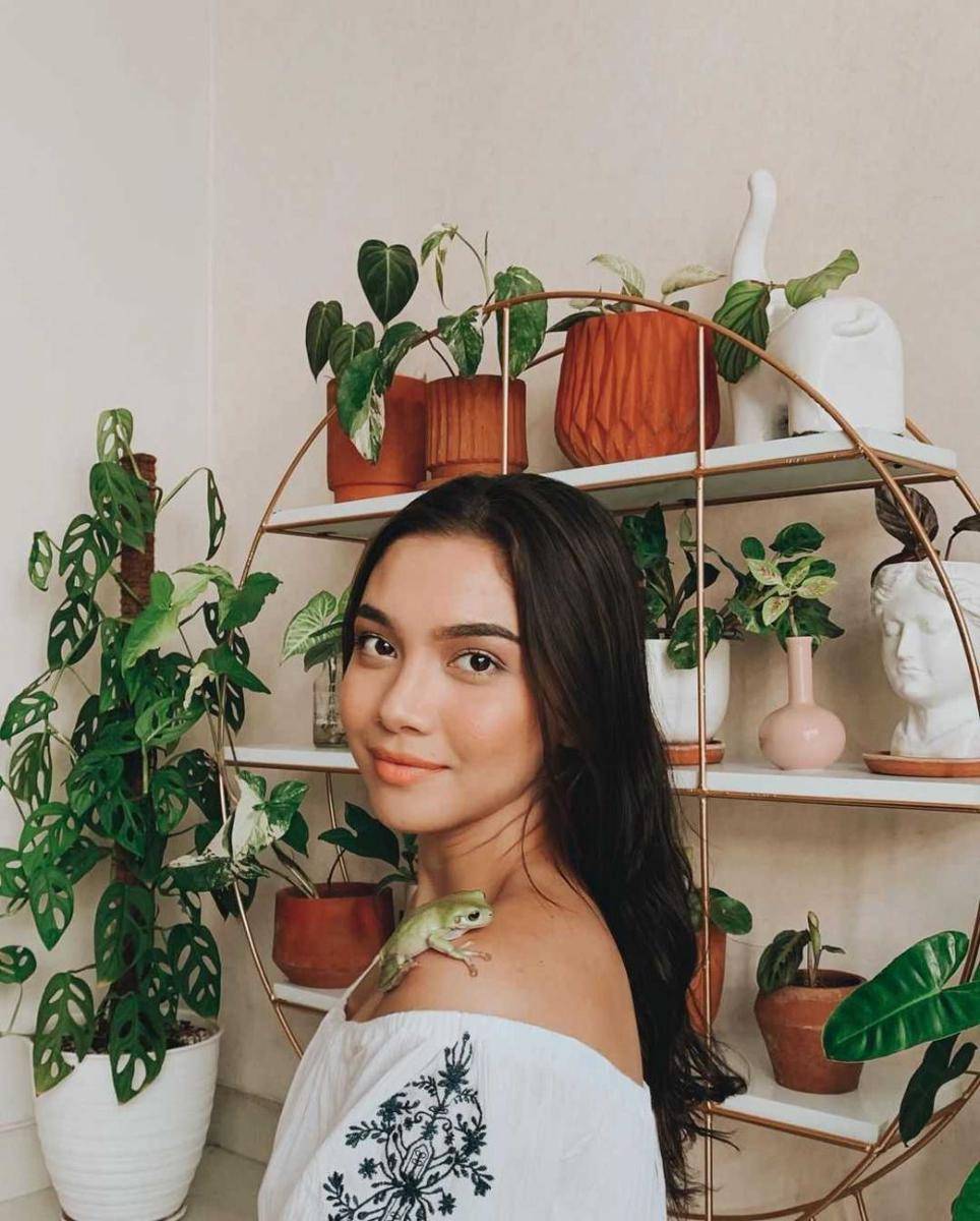 Instagram.com/angelagilsha