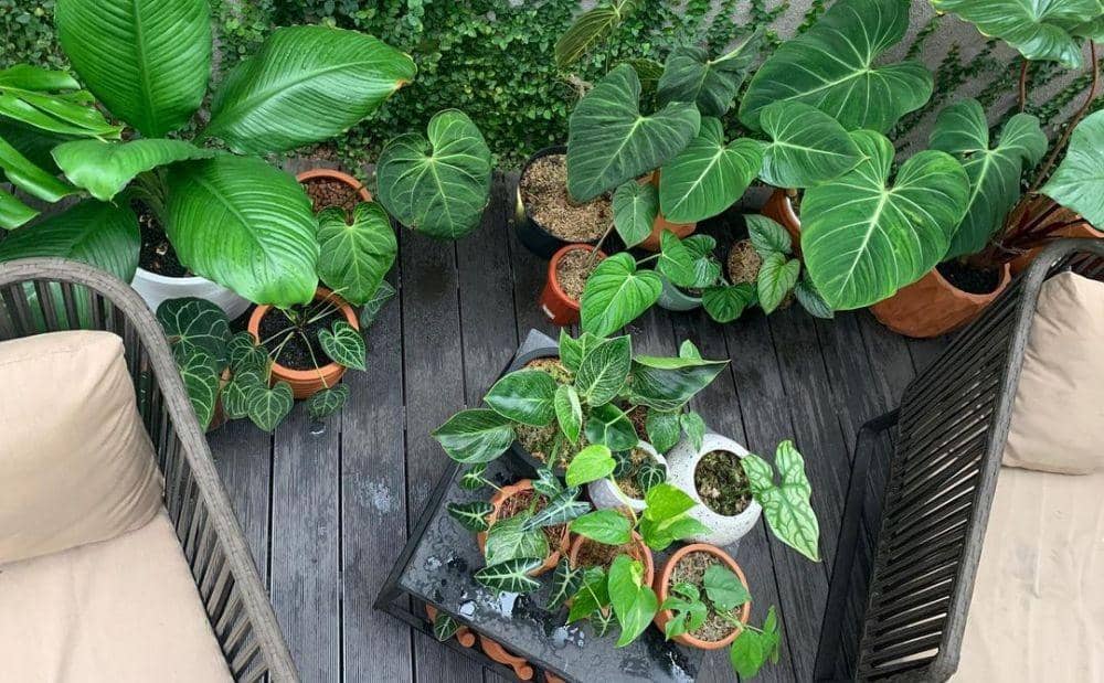 instagram.com/meisya__siregar/