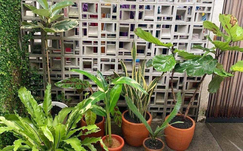 instagram.com/meisya__siregar/