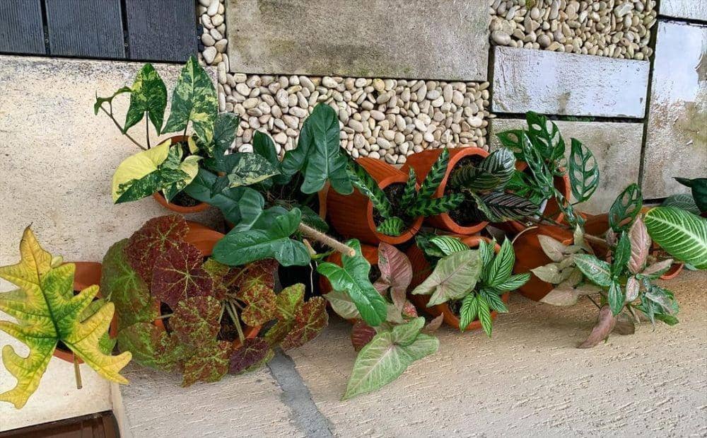 instagram.com/meisya__siregar/