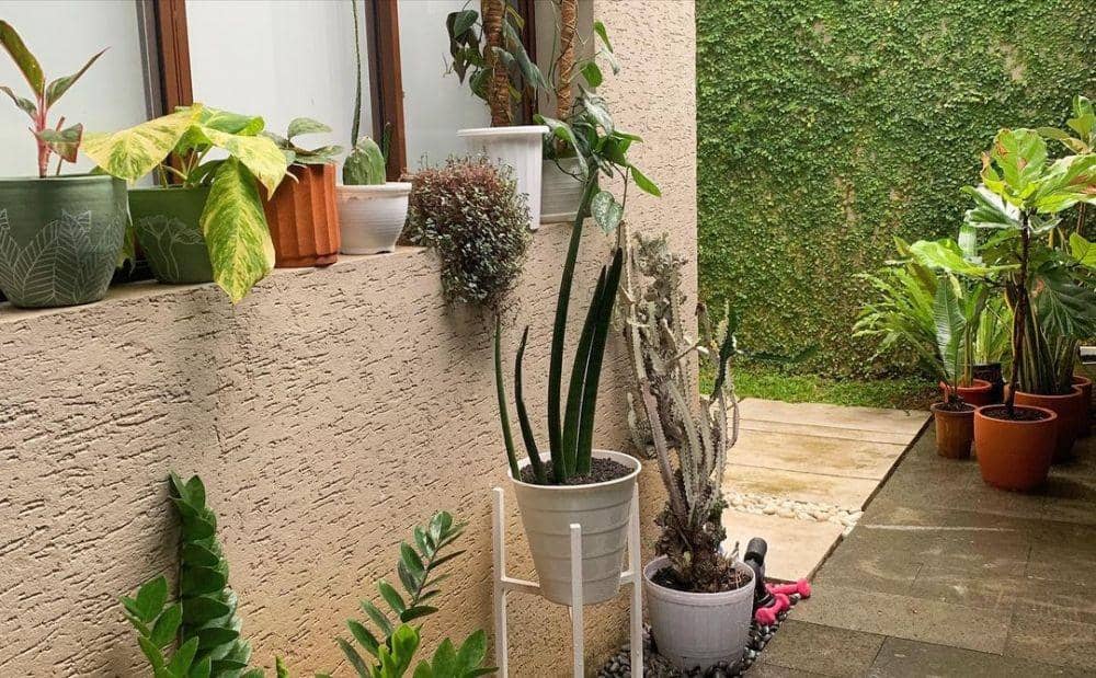 instagram.com/meisya__siregar/