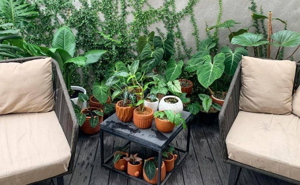 instagram.com/meisya__siregar